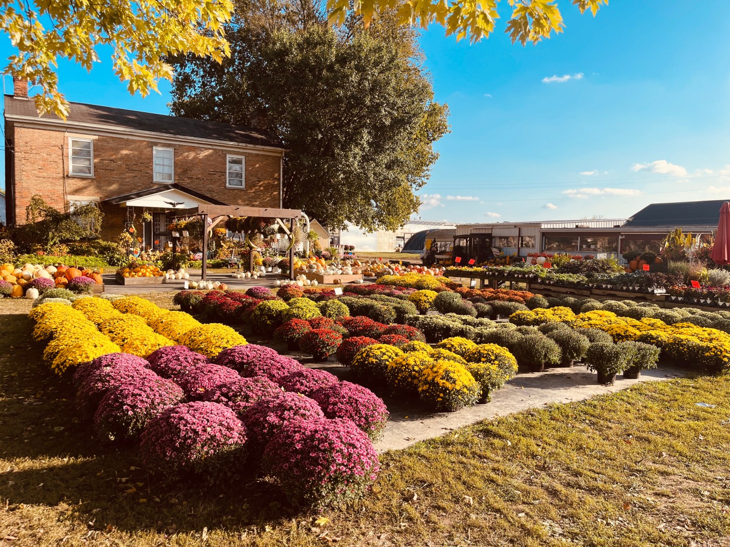 Brown s Family Farm Market Family Owned And Operated For Over 31 Years brown-s-family-farm-market-family-owned-and-operated-for-over-31-years